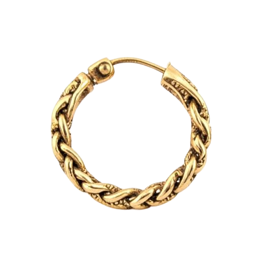 Braided Gold Hoops (placeholder image)
